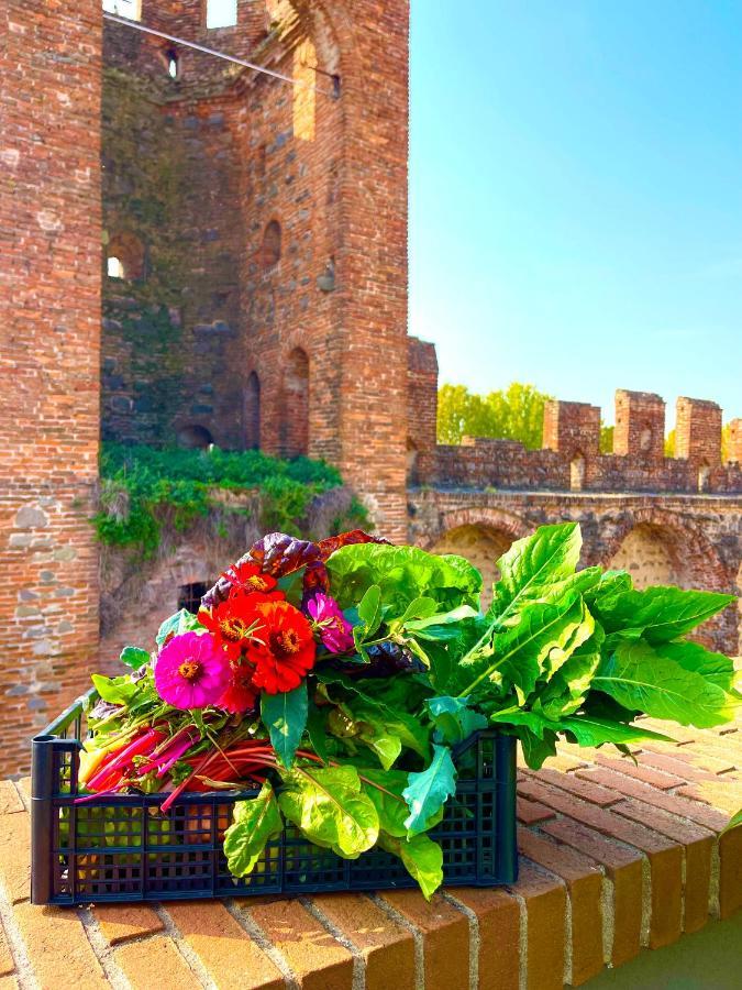 Ca' Del Sole - Attico Panoramico In Centro Storico Apartman Montagnana Kültér fotó