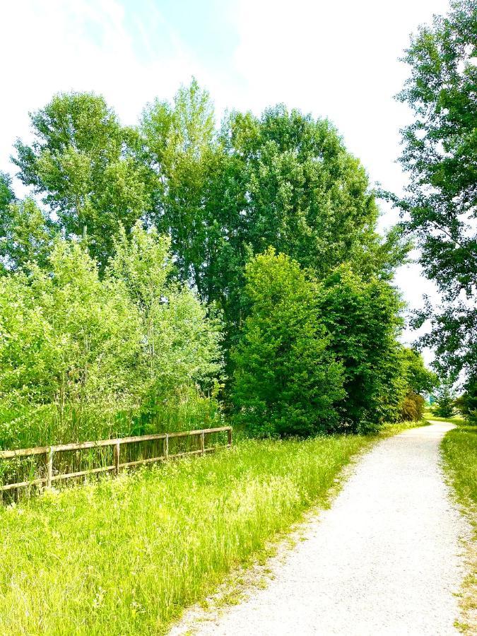 Ca' Del Sole - Attico Panoramico In Centro Storico Apartman Montagnana Kültér fotó